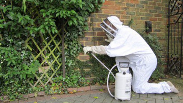 cleanarea Haşere İlaçlama Temizlik Hizmeti